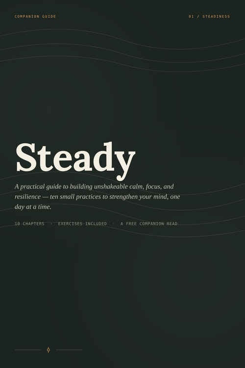 EBook - Steady